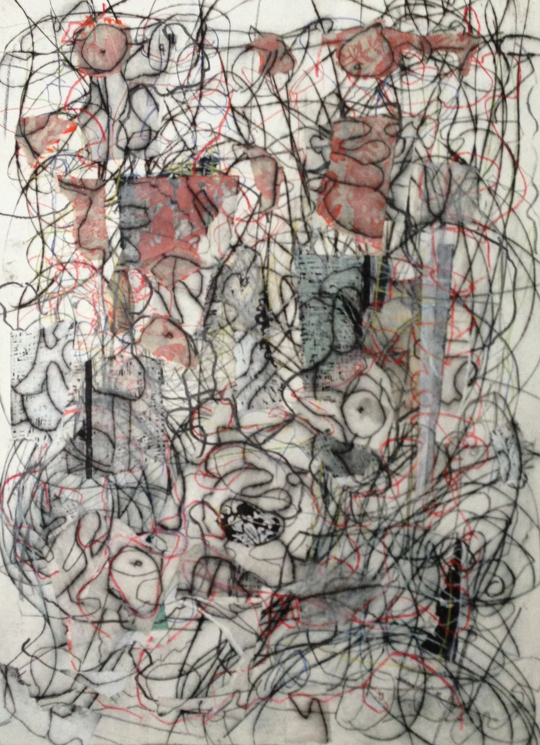 Backyard Fig 2013.jpg