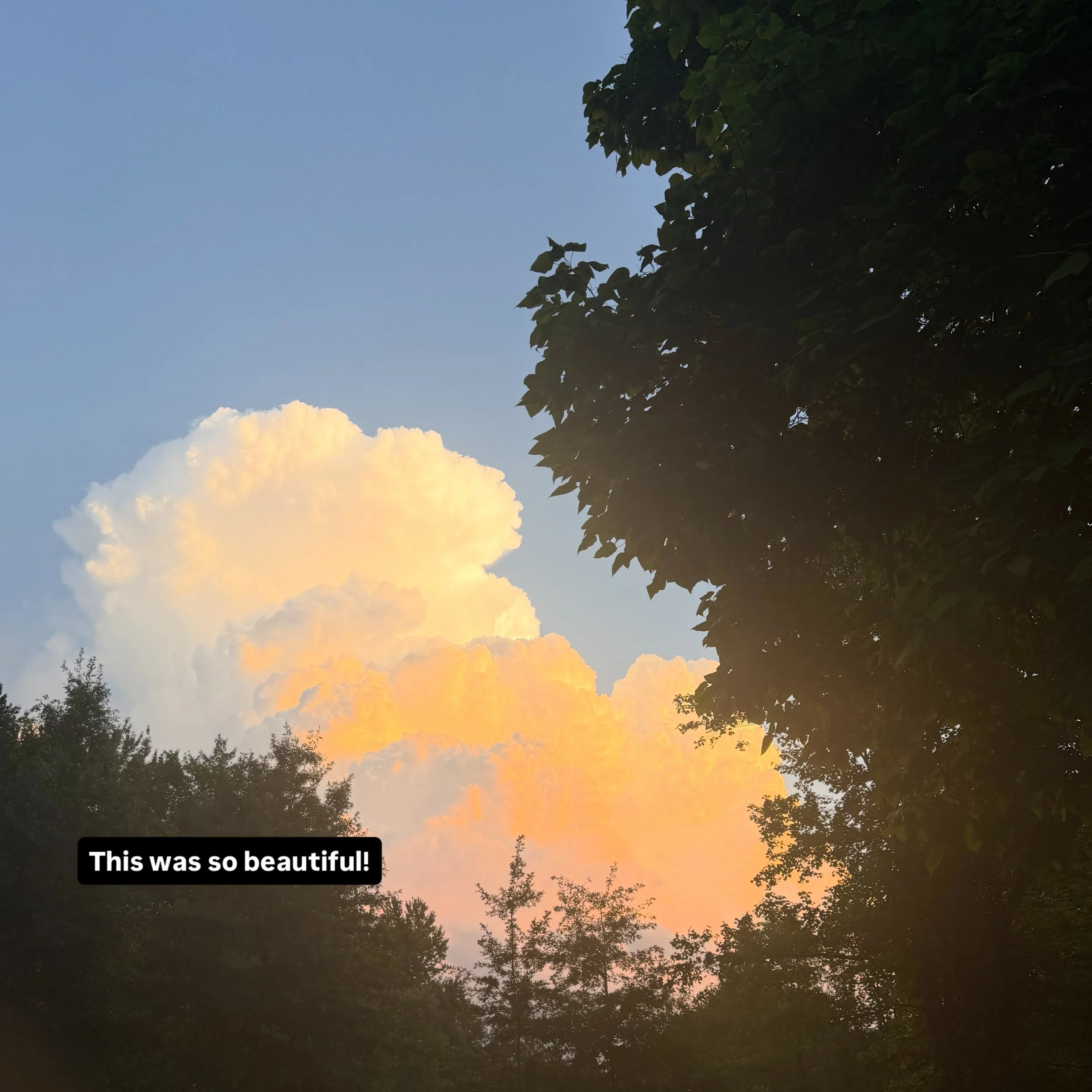 Earlier this month, I entered a local(ish) trail race. About an hour&rsquo;s drive away. And I&rsquo;d forgotten how nice those early-morning, 6 a.m. drives can be. Fall is creeping in, and fog settles over everything now, softening the edges of the 