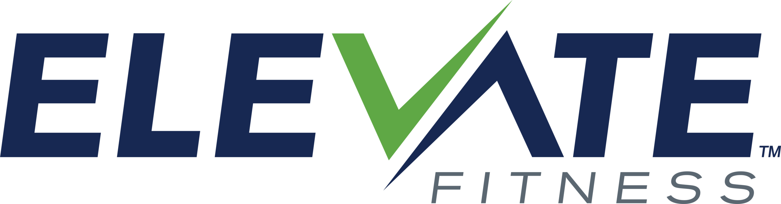 Elevate_Logo_Primary_3c.png