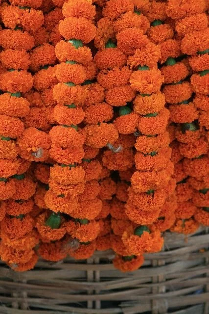 Marigold Garland.jpeg