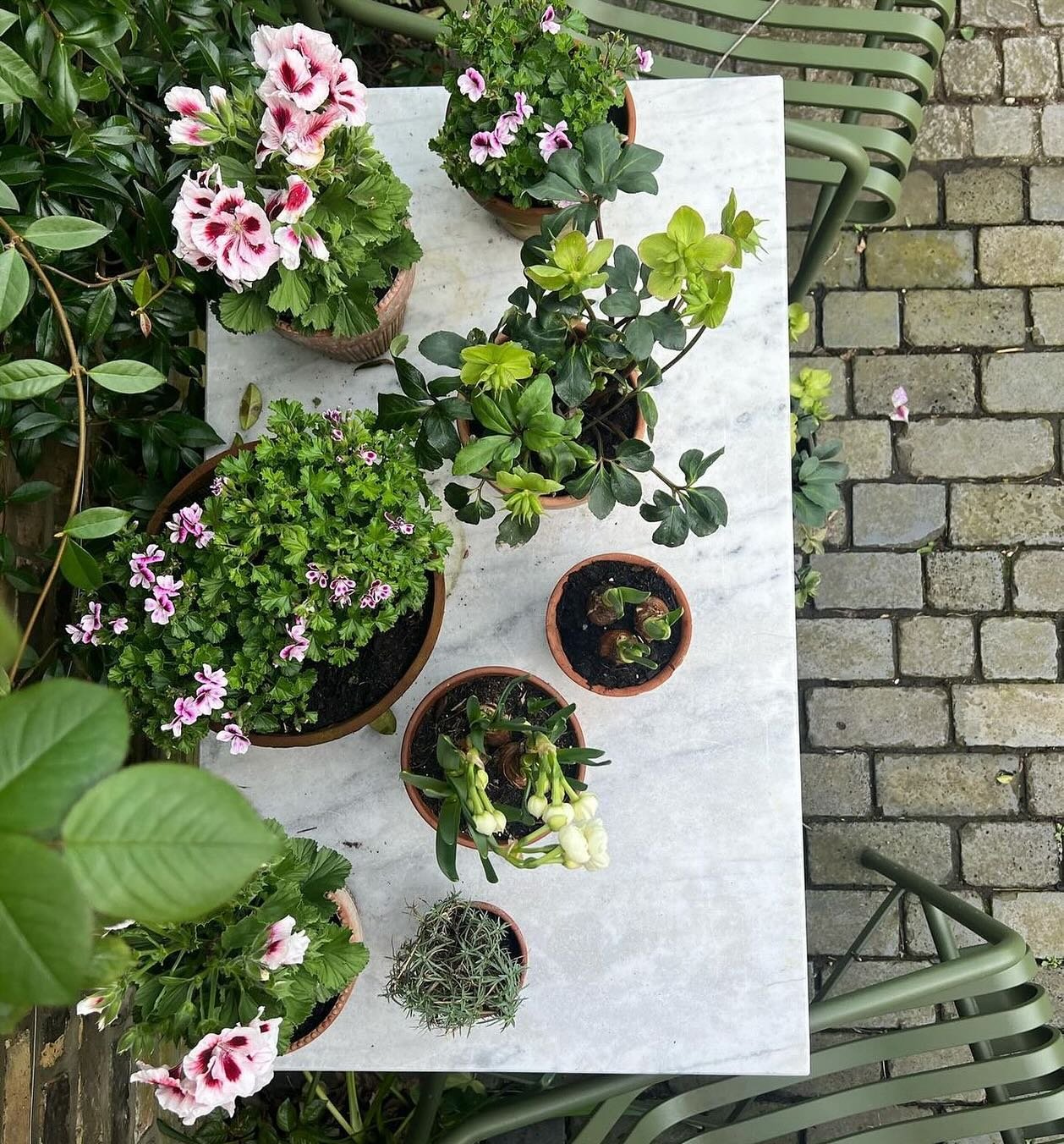 Love this cheery little courtyard display &hellip;. pinks, greens &amp; marble the prettiest combination via @matildagoad with thanks
