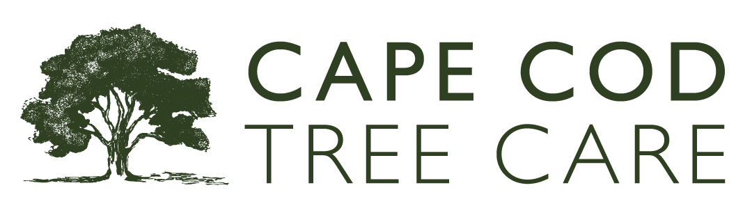 Cape Cod Tree Care