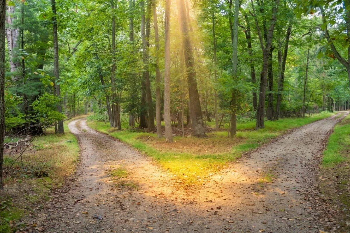Abstract image of two paths crossing with warm overlapping light representing the connection between ADHD and autism