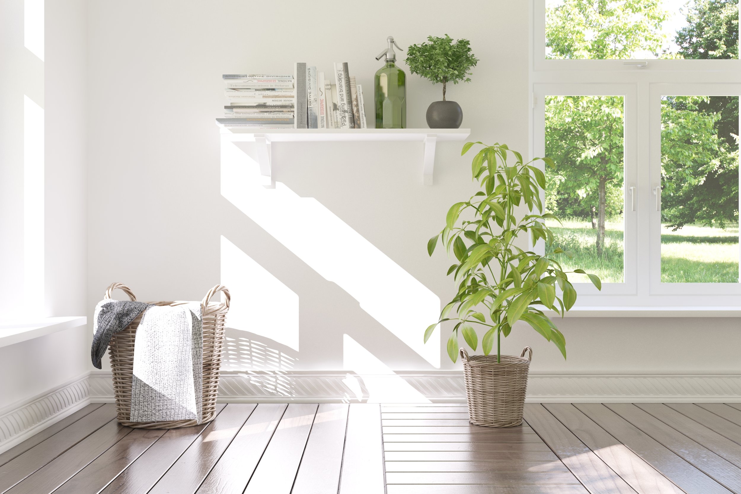 white corner with plants in the sunshine