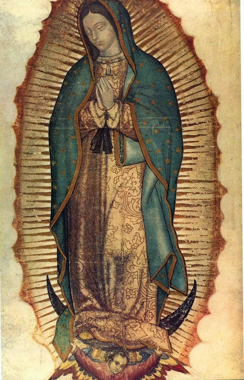 Virgen de Guadalupe, Ruega por Nosotros
