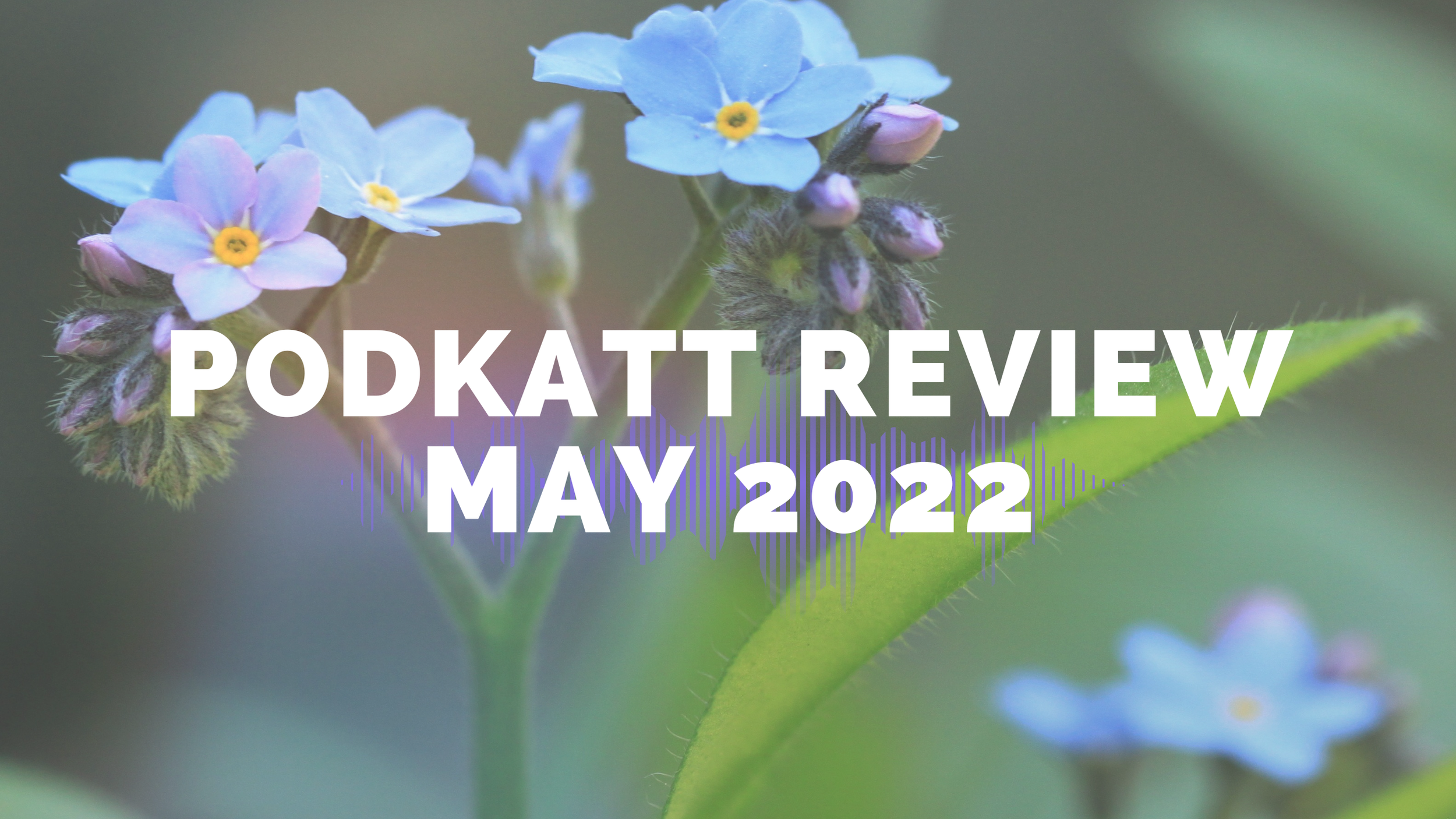 Getting mad and creative - MAY 2022 - PODKATT REVIEW