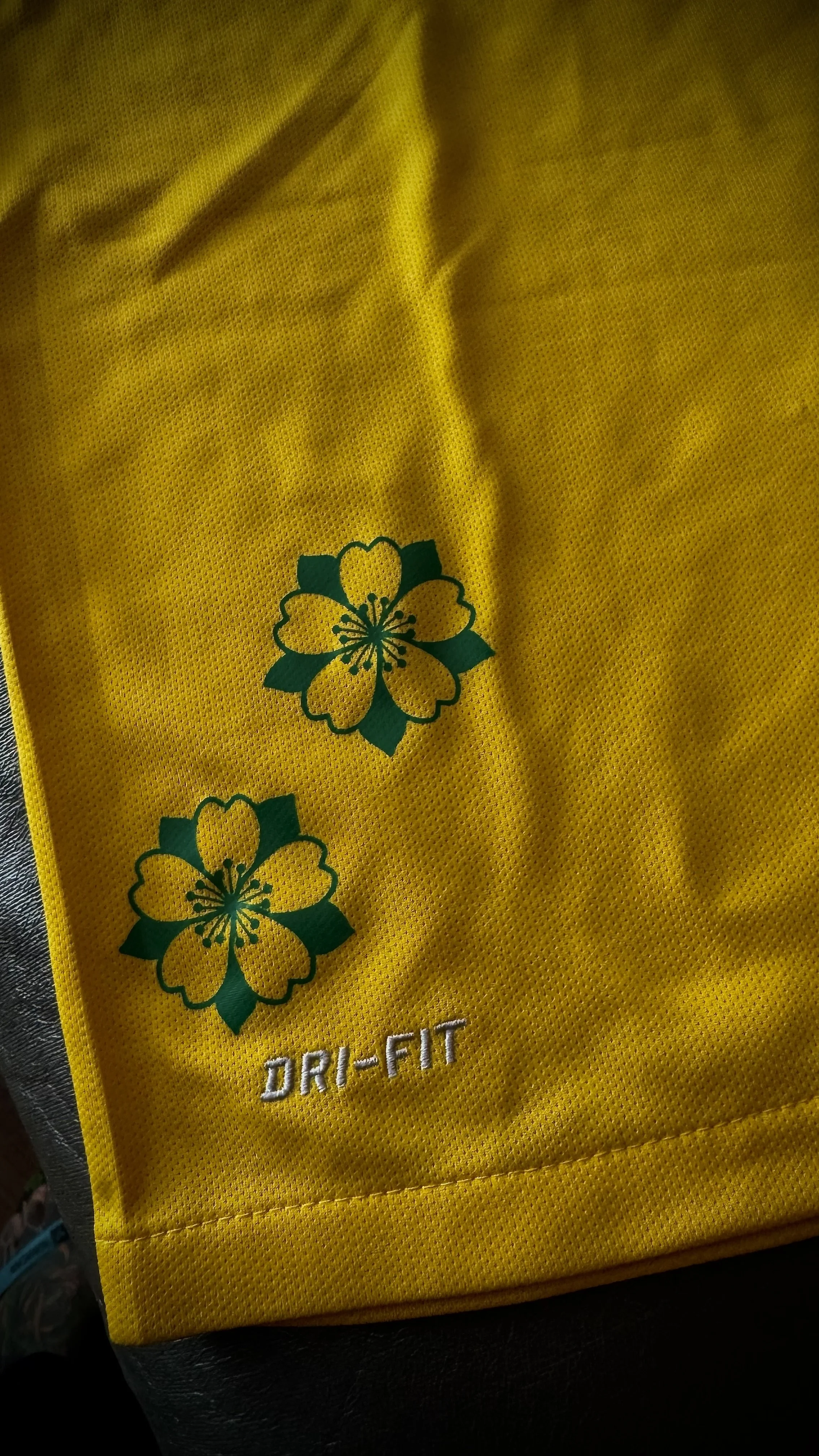 ACST FC Brasil Cherry Blossom Jersey 2013:14  - 20266.jpeg