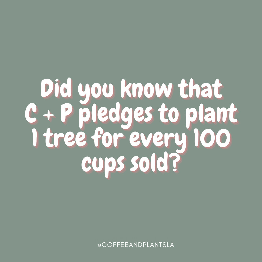 Your coffee plants trees thanks to the @NationalForests Foundation🌳