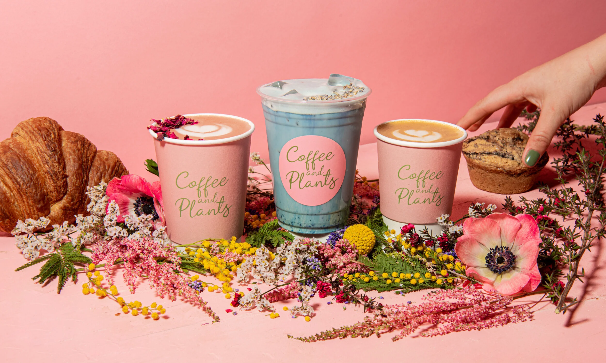 About — Coffee and Plants