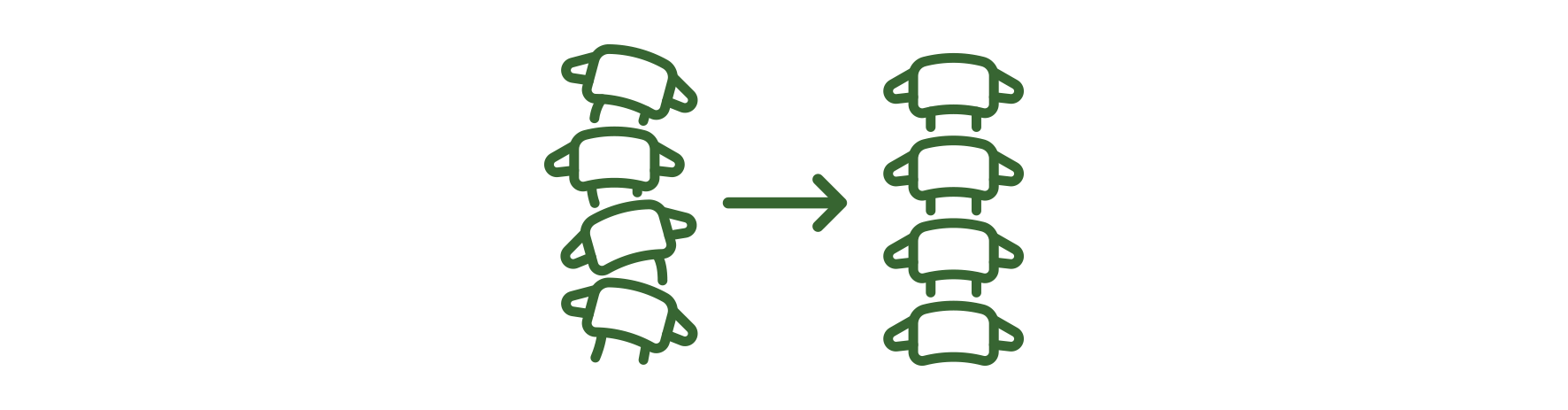 Align Spine Family Chirorpactic Bundaberg.png