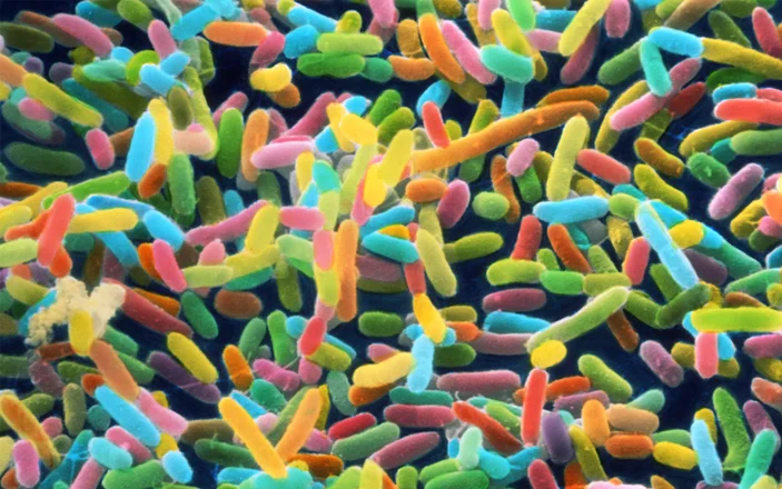 microbiome.jpg