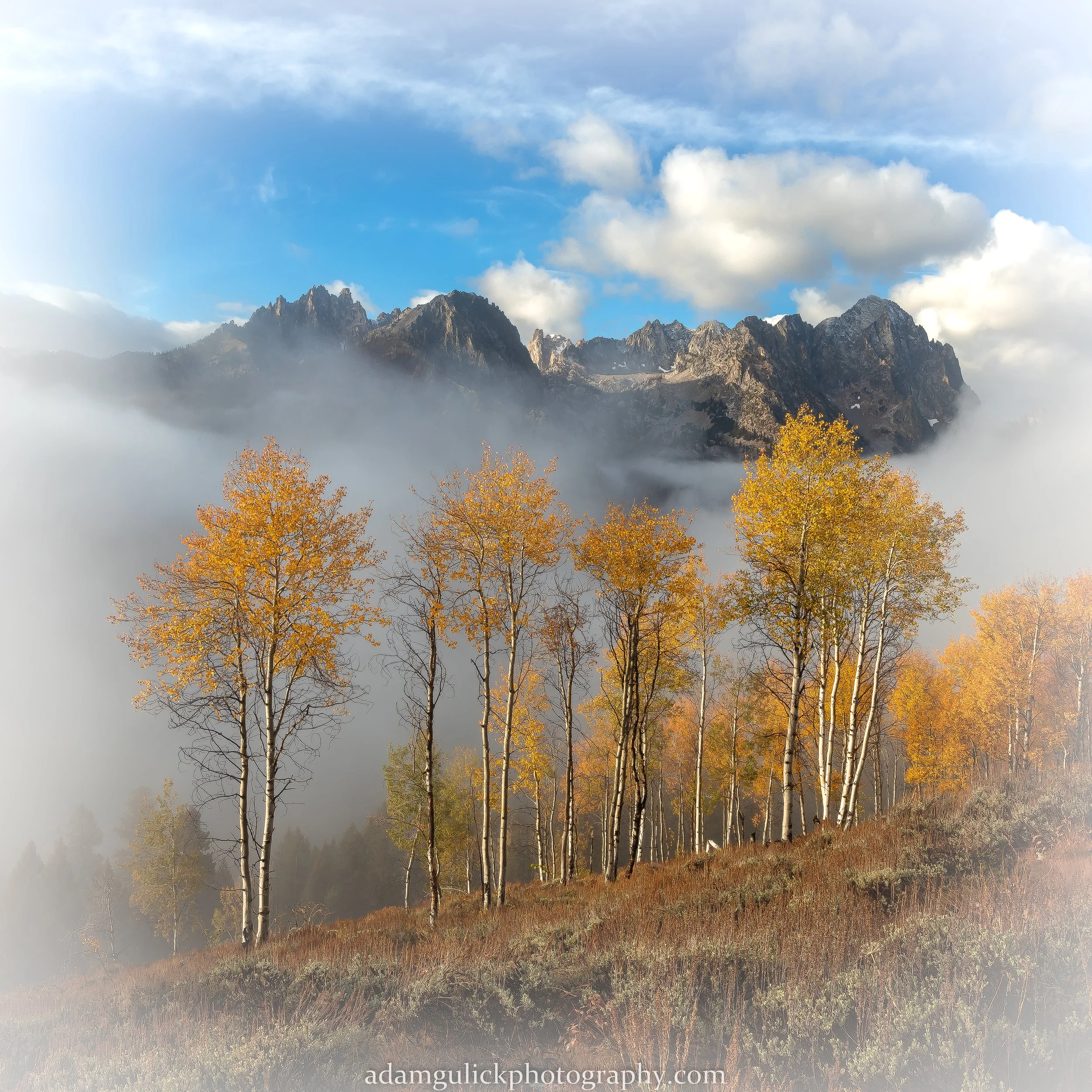 tmarshall ridge 9-28-25 (1 of 1).JPG