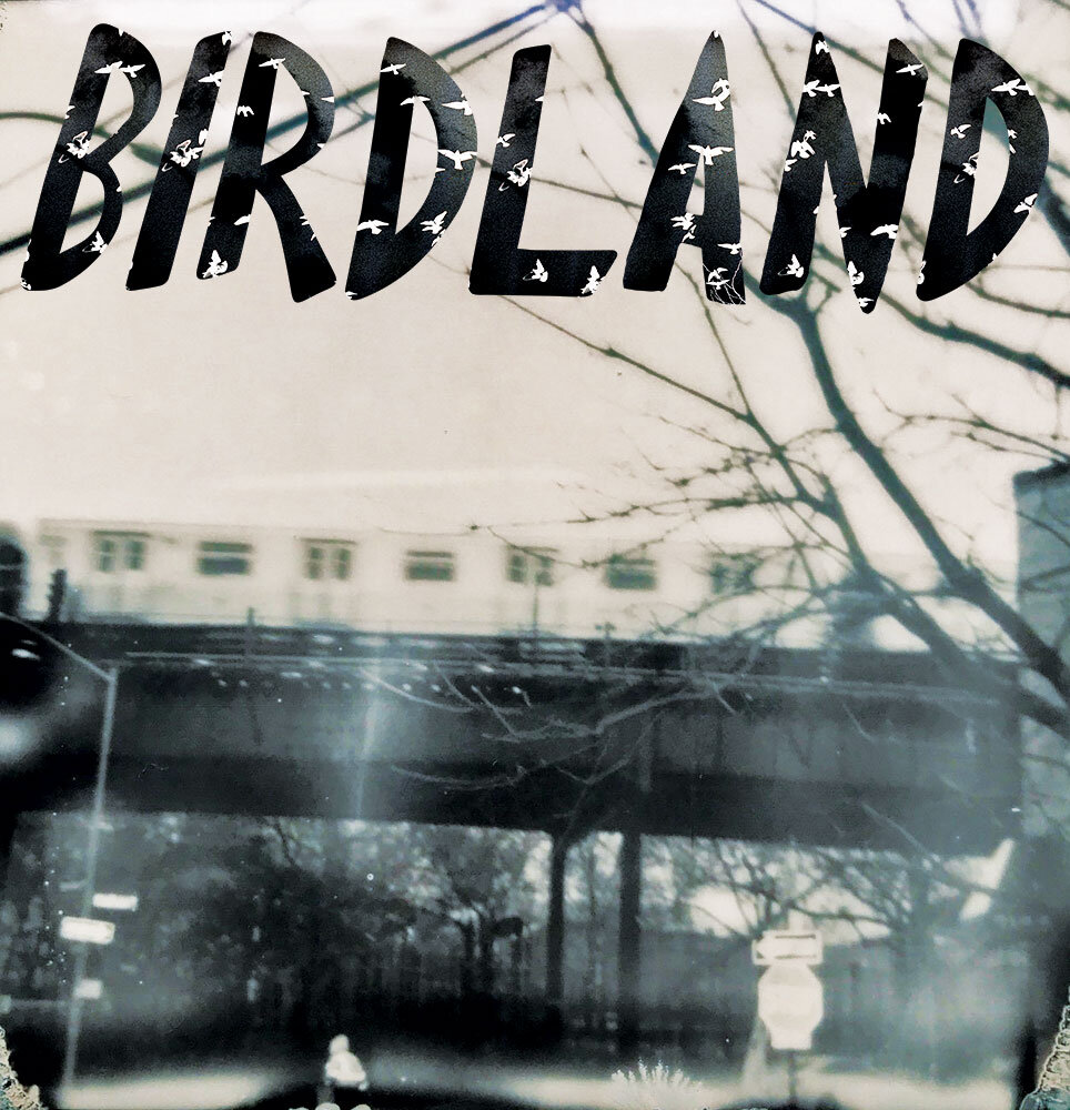 Birdland by Ali Joseph