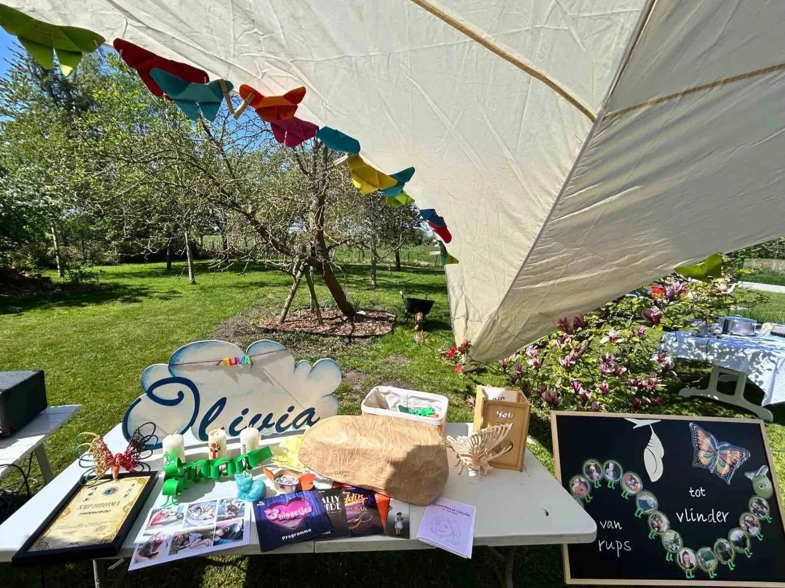 Groeifeest - Berlare, van rups tot vlinder