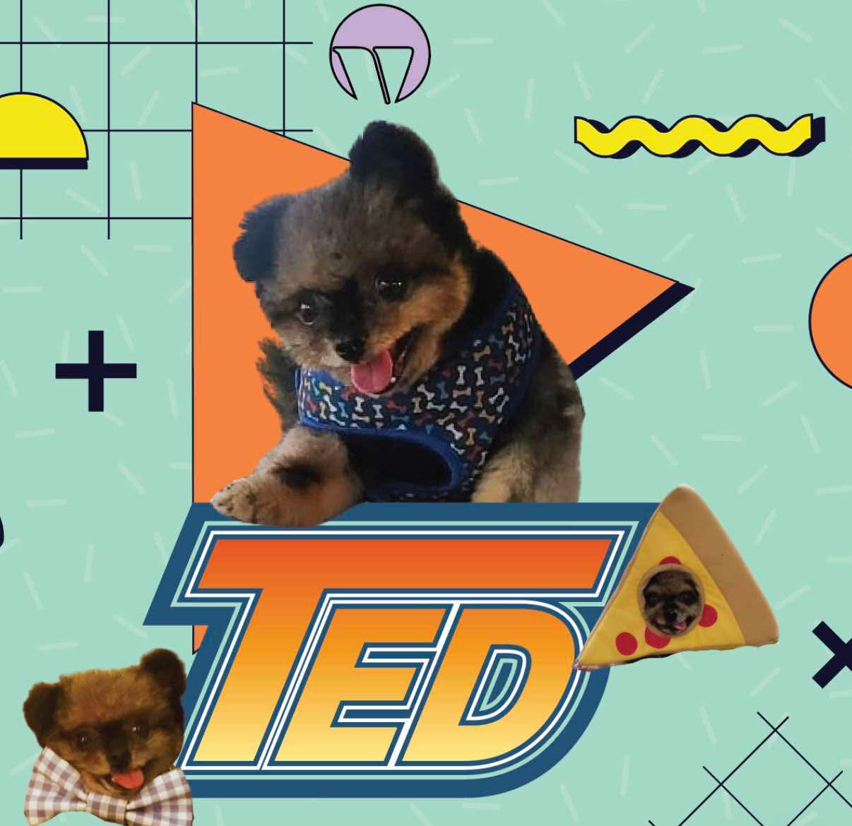 Pints &amp; Puppers: A Benefit for Old Dog Haven