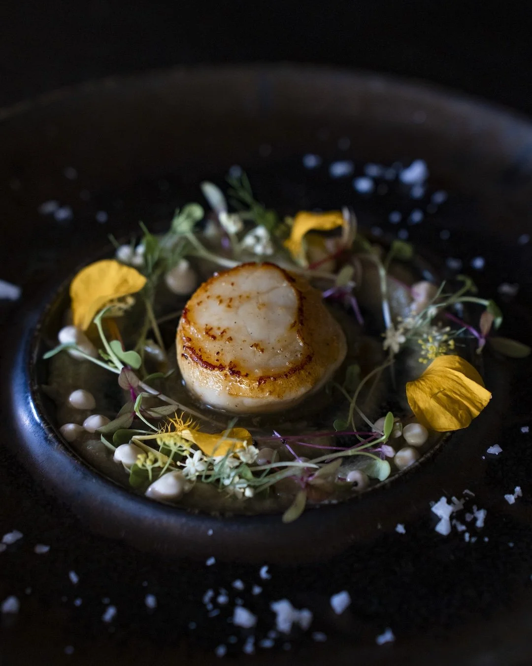 mediterranean style torched scallops in ubud
