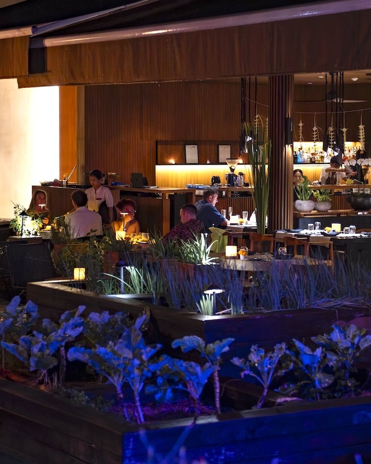 Outdoor restaurant scene with dim lighting, patrons seated, wooden decor, candle-lit tables, and potted plants.