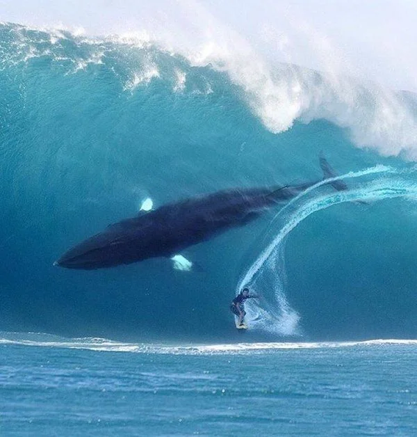 oceannight.jpg