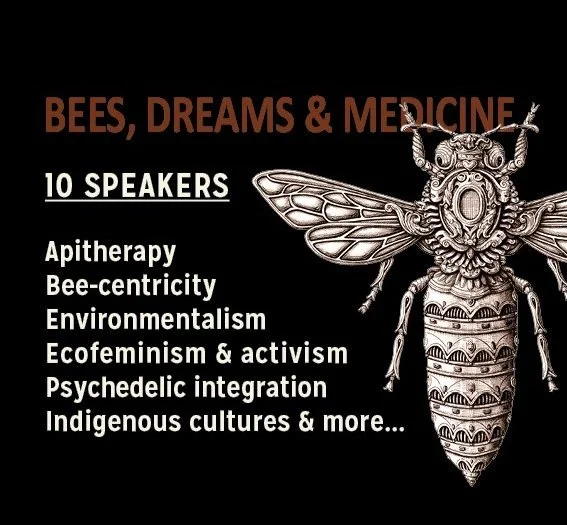 BEES, DREAMS &amp; MEDICINE: Honey &amp; Hope