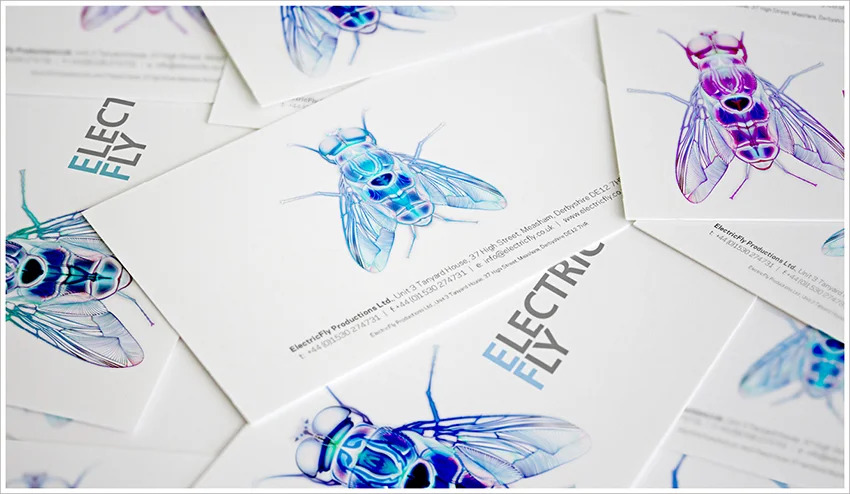 Electric Fly (2013)