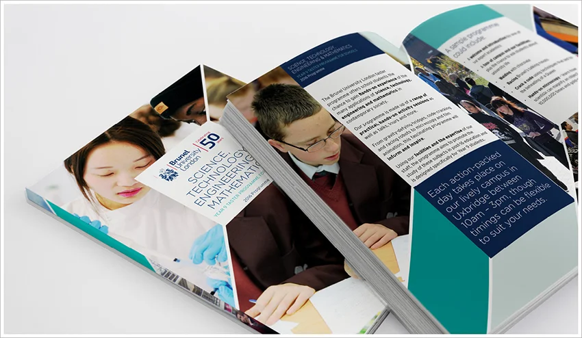 Brunel University (2017)