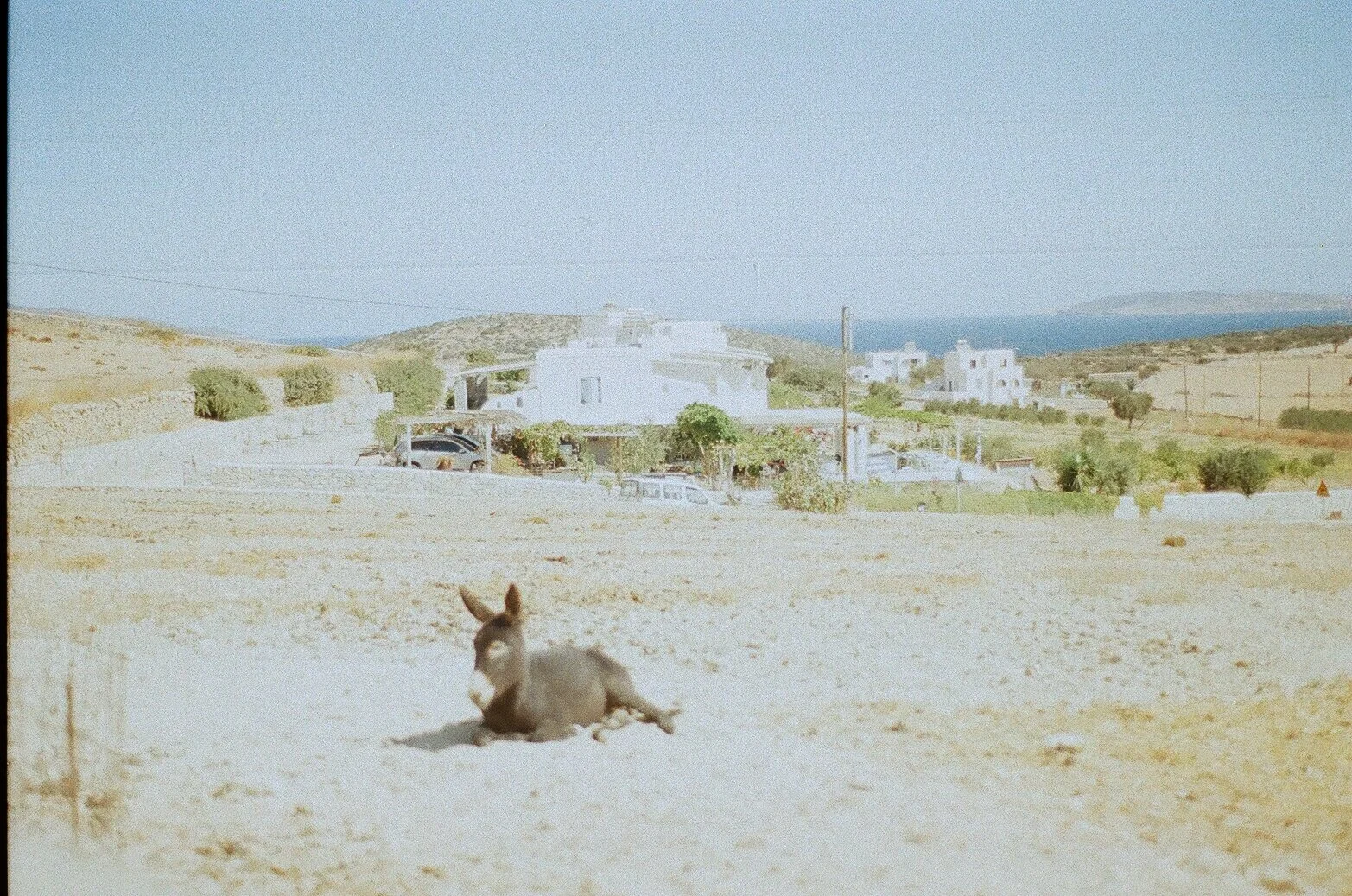 001015600029.jpg