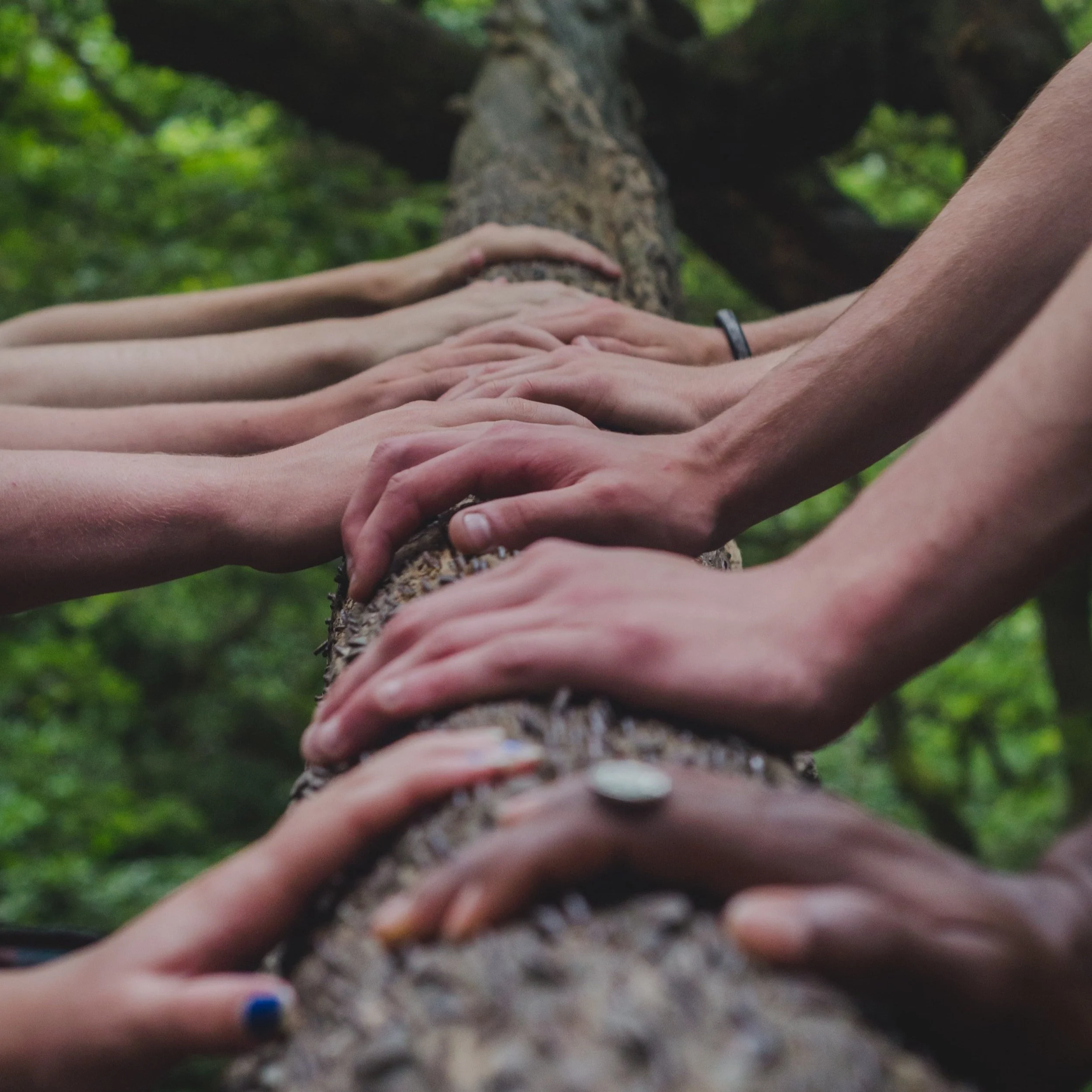 These Hands were Made for Sensing - VIDEO
