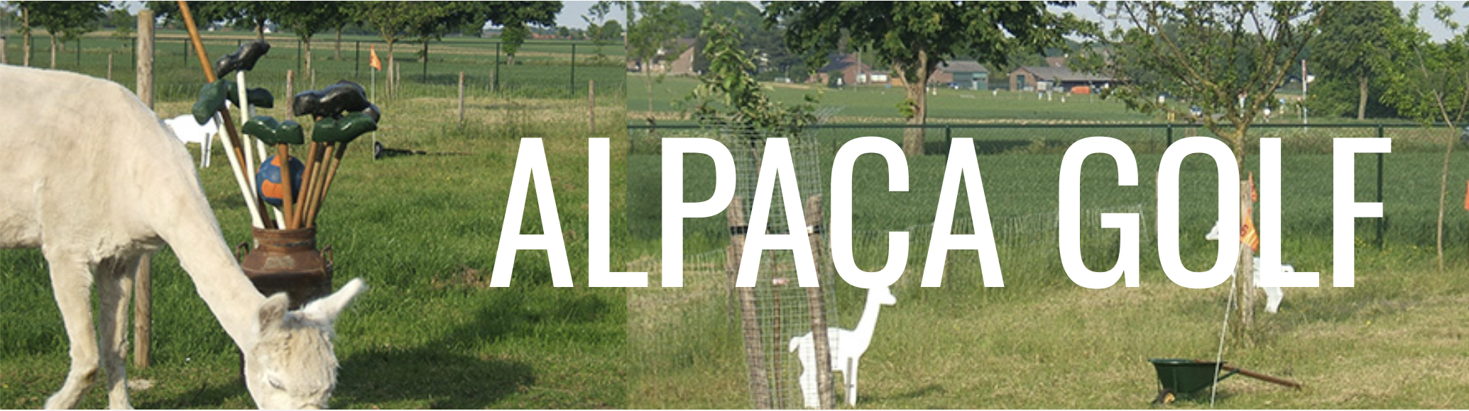 MACKY Golf: Alpaca Selly Balaklava - Gray
