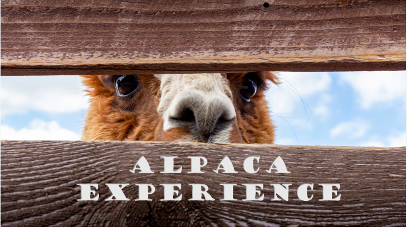 Screen Shot 2023-04-03 at 7.34.39 PM.png