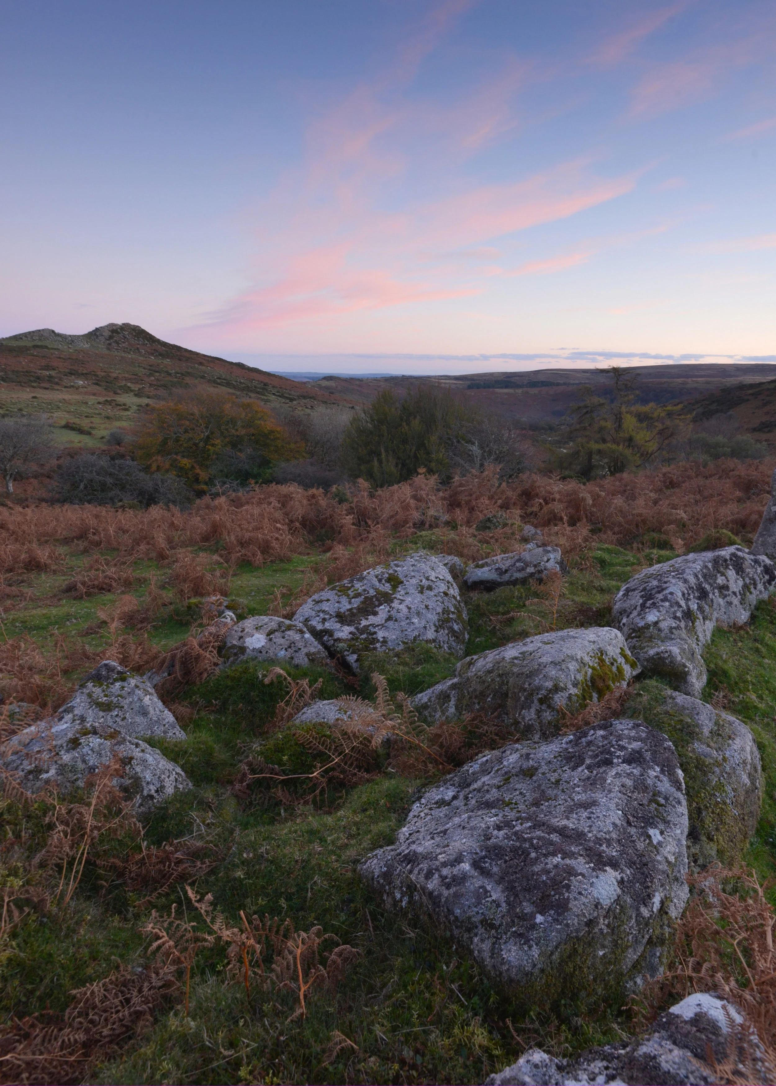 DSC_1750-2.jpg