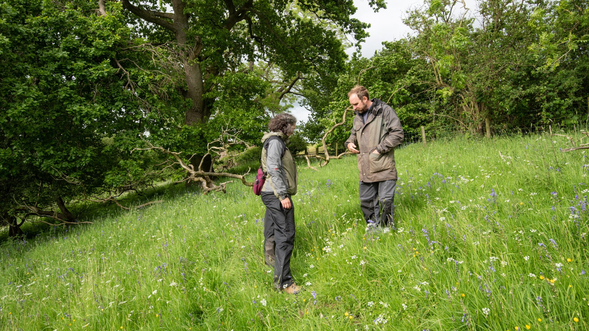 John showing Harriet around one of his wildflower meadows.jpg