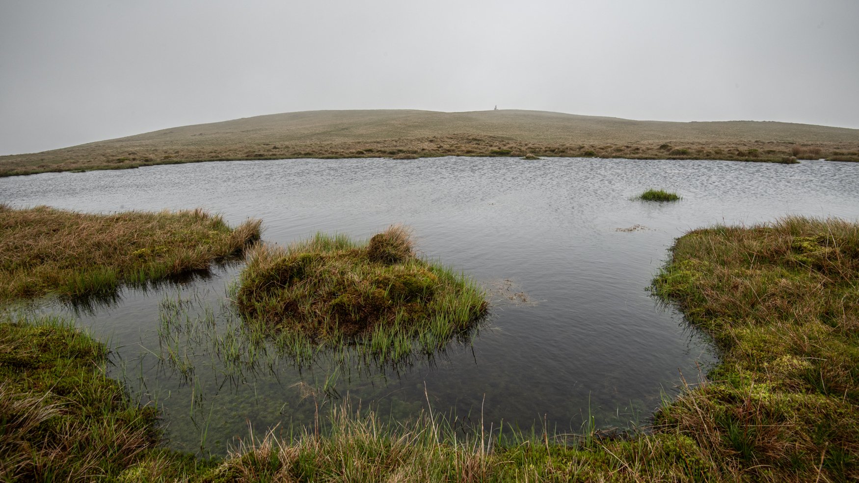 A tarn near the summit of Lancrigg, on Kinniside Common