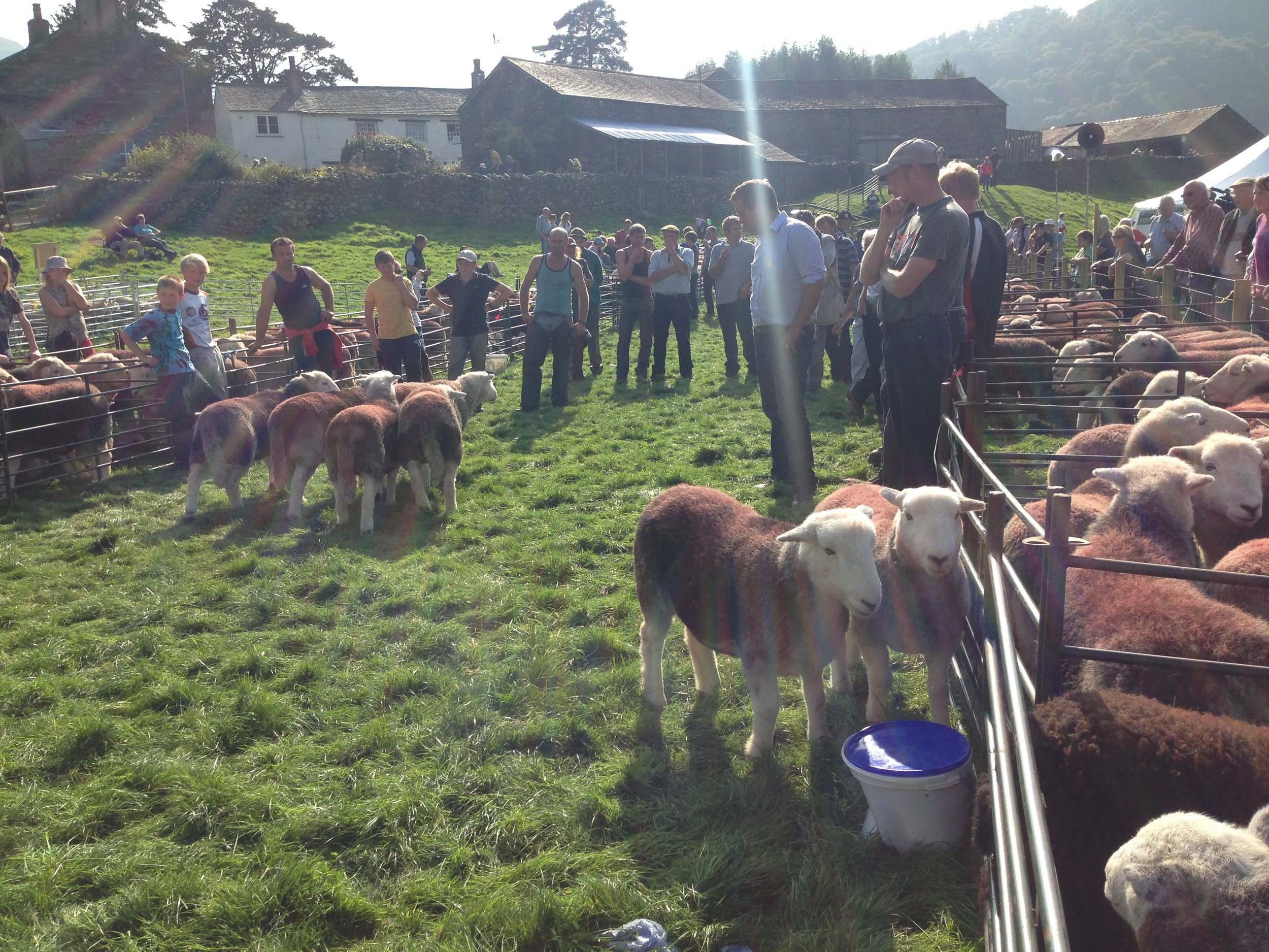 The Our Upland Commons project aims to support resilient commoning. Image taken at Keswick Tup Fair. Credit Rob Fraser.JPG