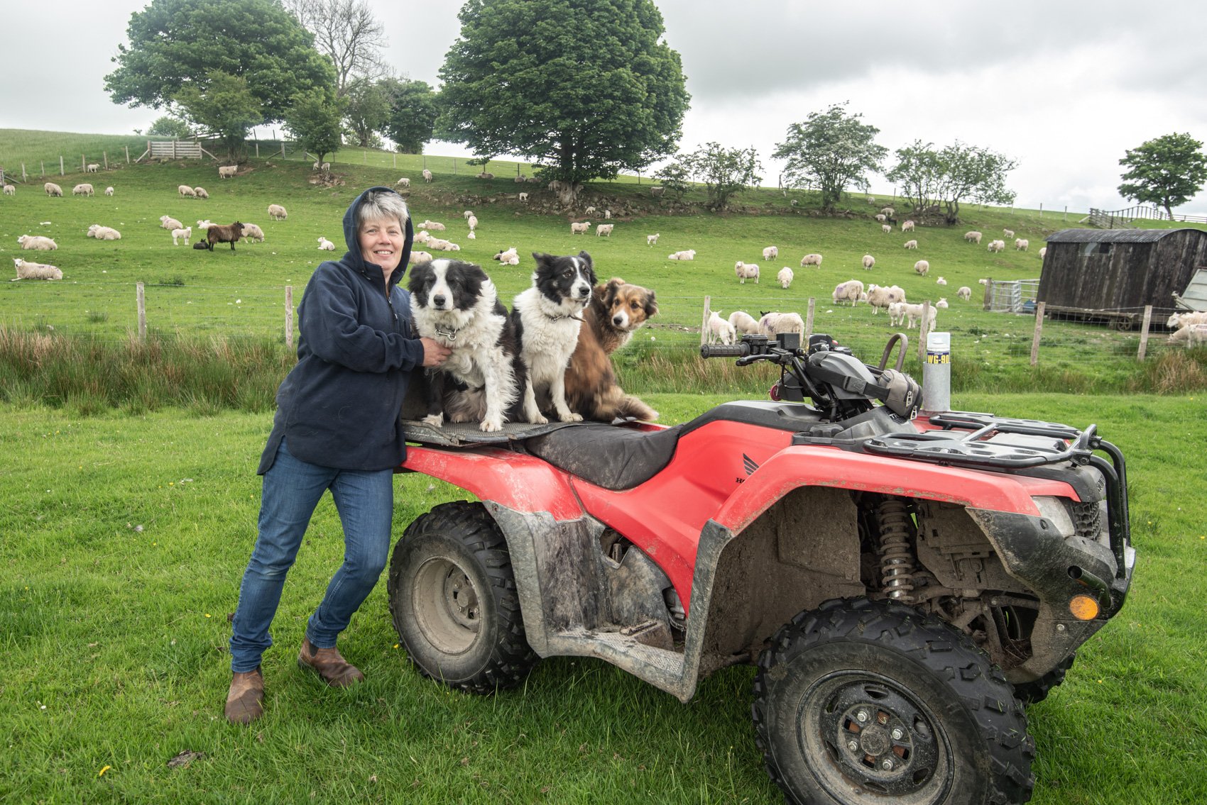 Tess Hallet with three of her dogs. Image by Rob Fraser.jpg