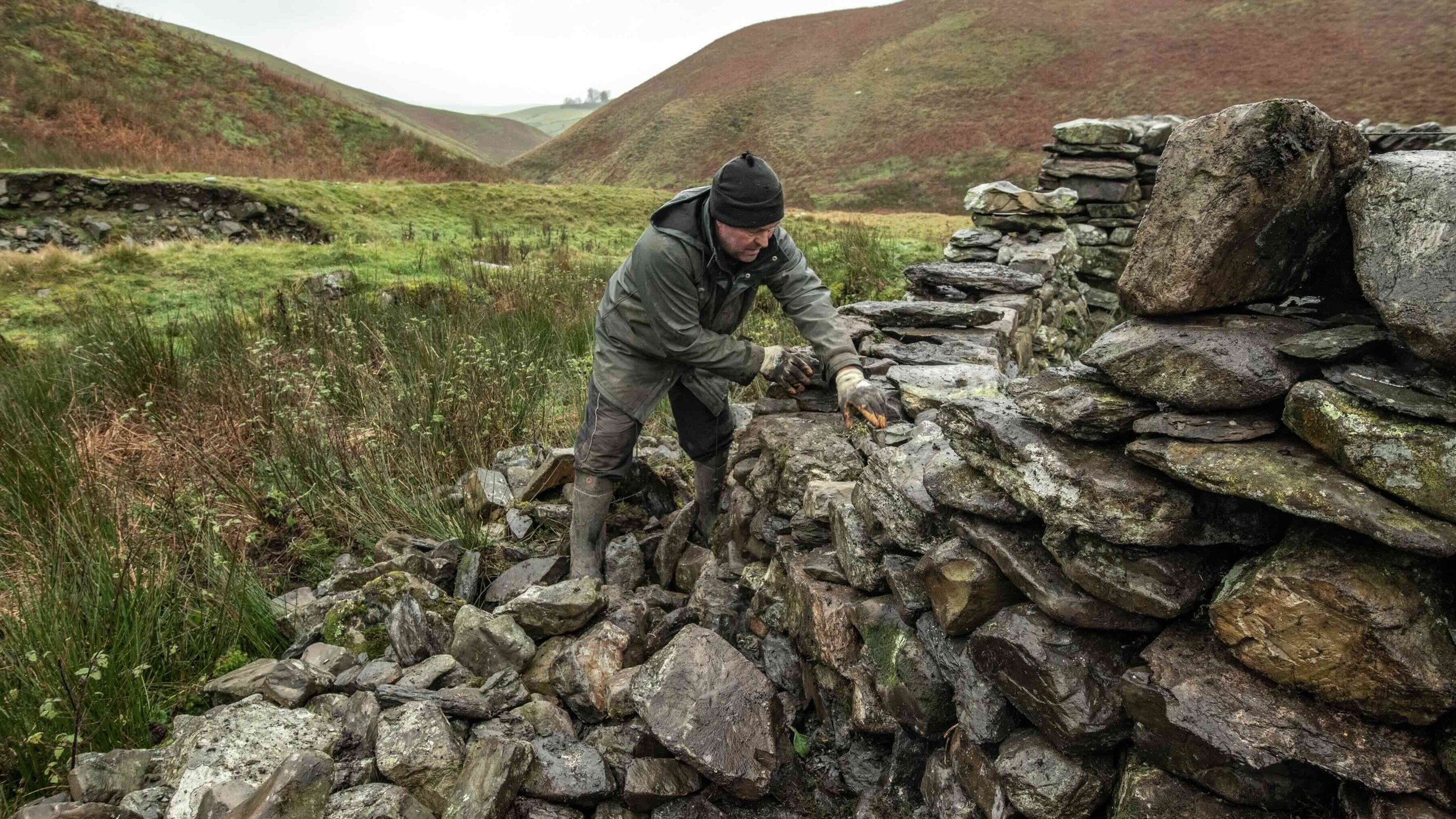 Restoring one of the sheep folds on Brantfell common. Part of the 'Labour of Love' exhibition in Hawes..jpeg