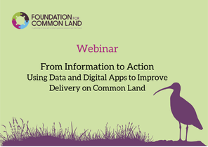 From Information to Action Webinar
