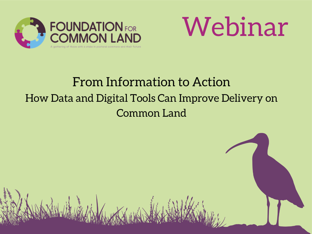 From Information to Action: How Data and Digital Tools Can Improve Delivery on Common Land