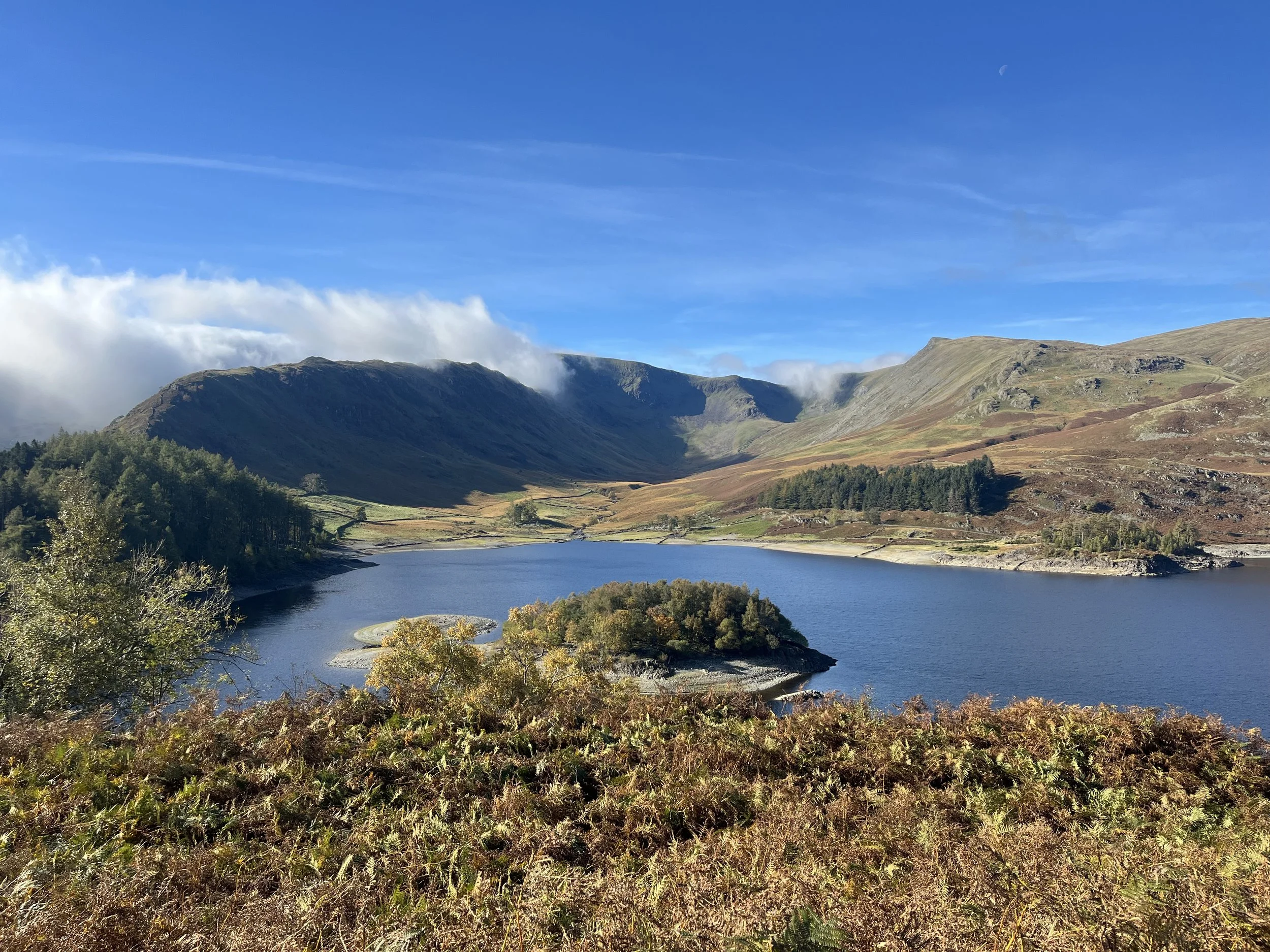 Bampton Common Section 38 Consultation