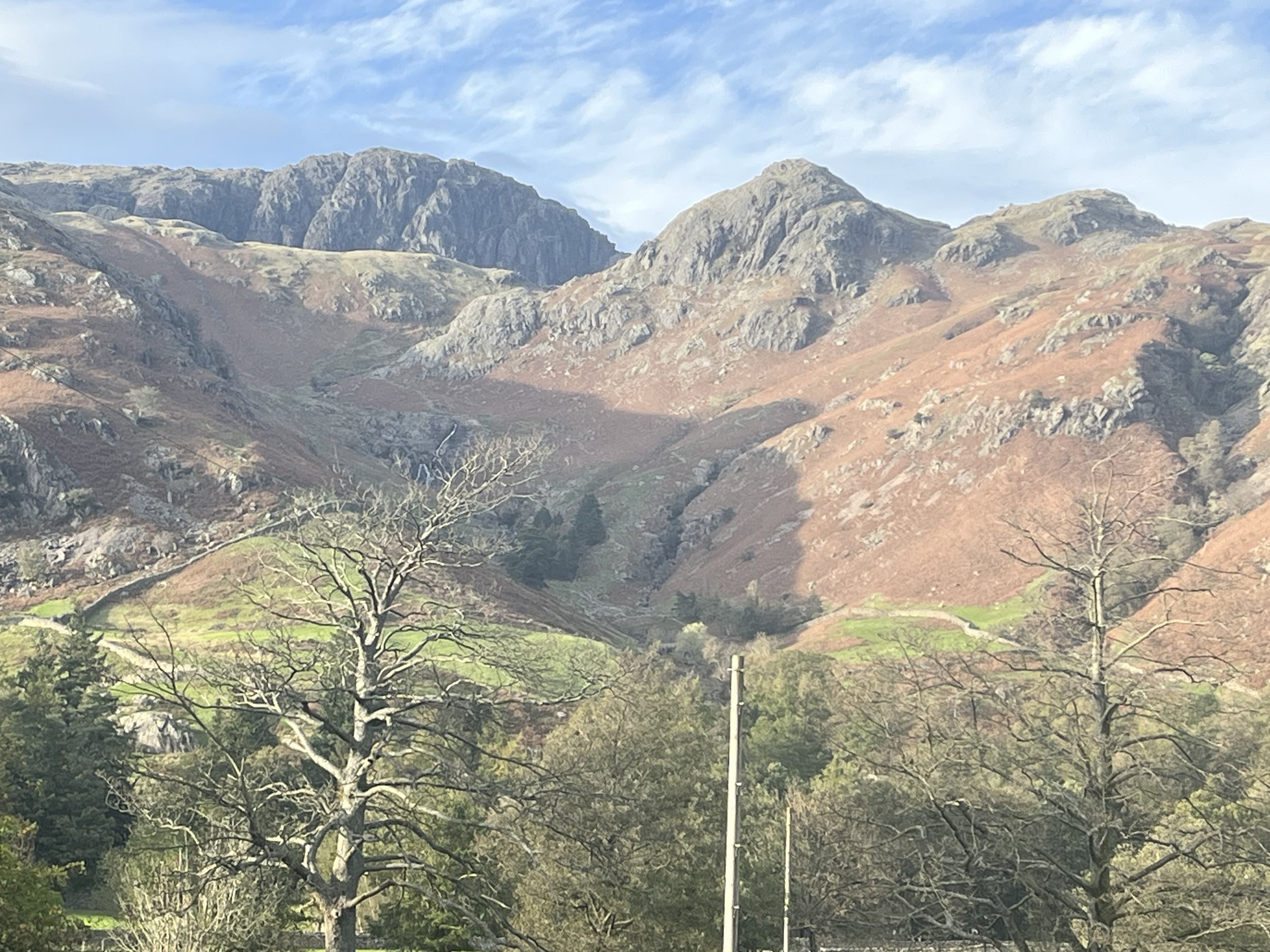 15 National Organisations ask Minster Eagle to overcome the ‘Computer says No’ to Commons