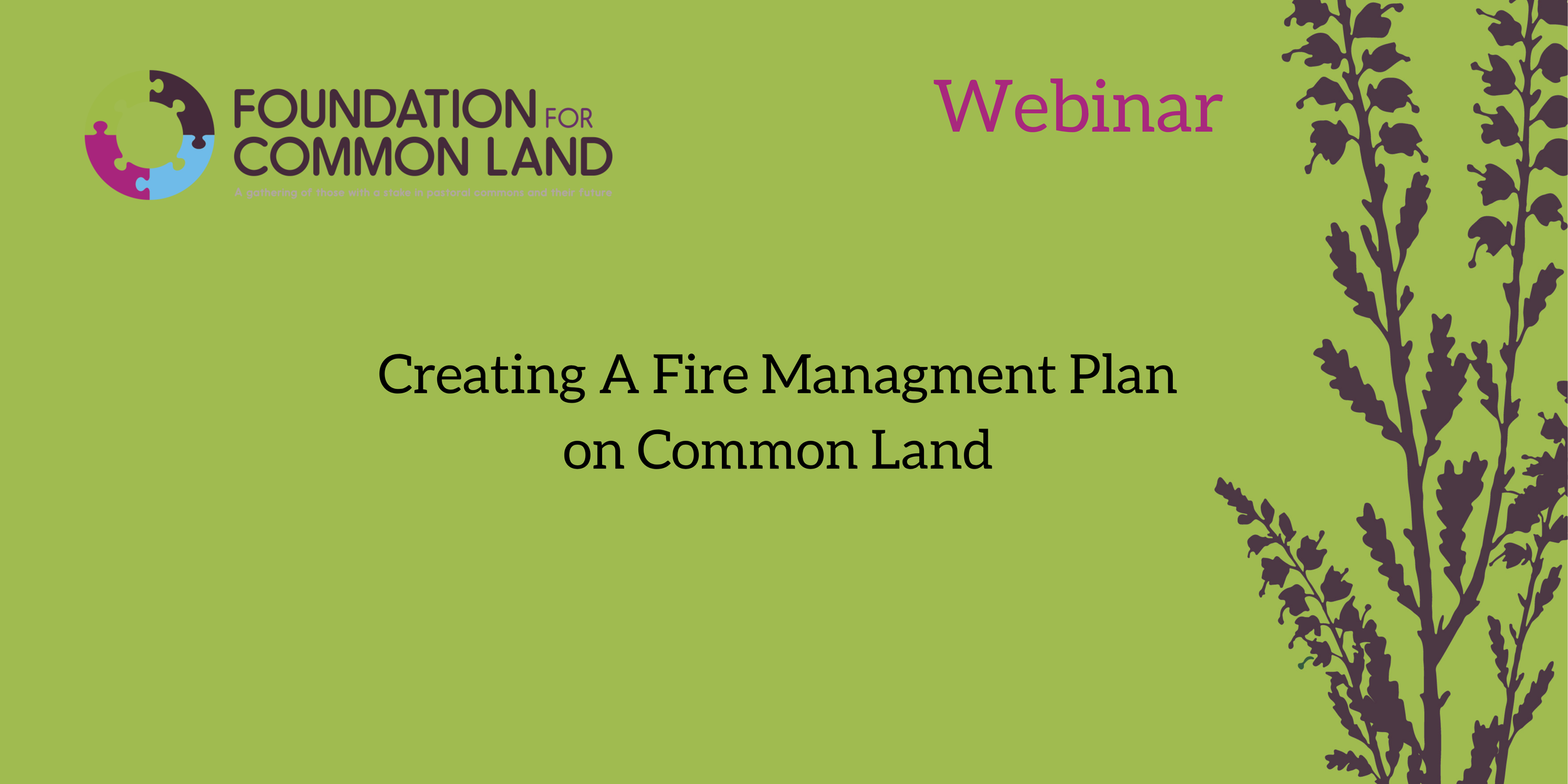Creating a Fire Management Plan on Common Land 