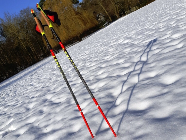 20190202_Snow Poles.jpg