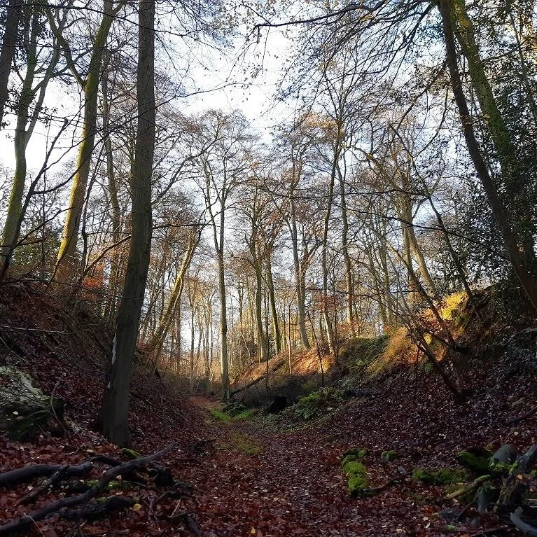 Holloways of the Chilterns