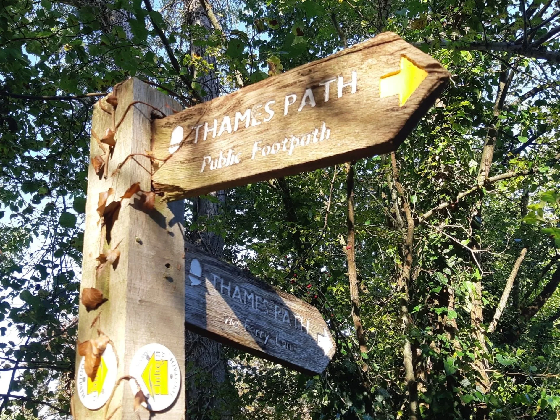 20211021_Thames+Path_Aston.jpg