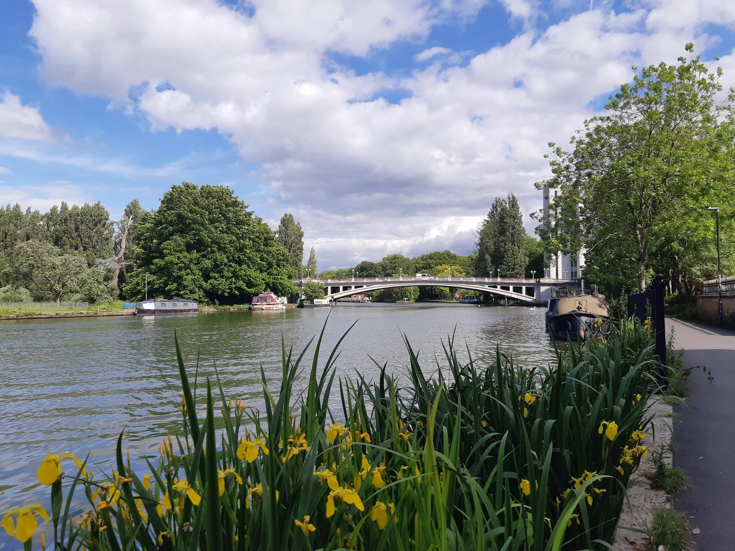 River Thames at Reading