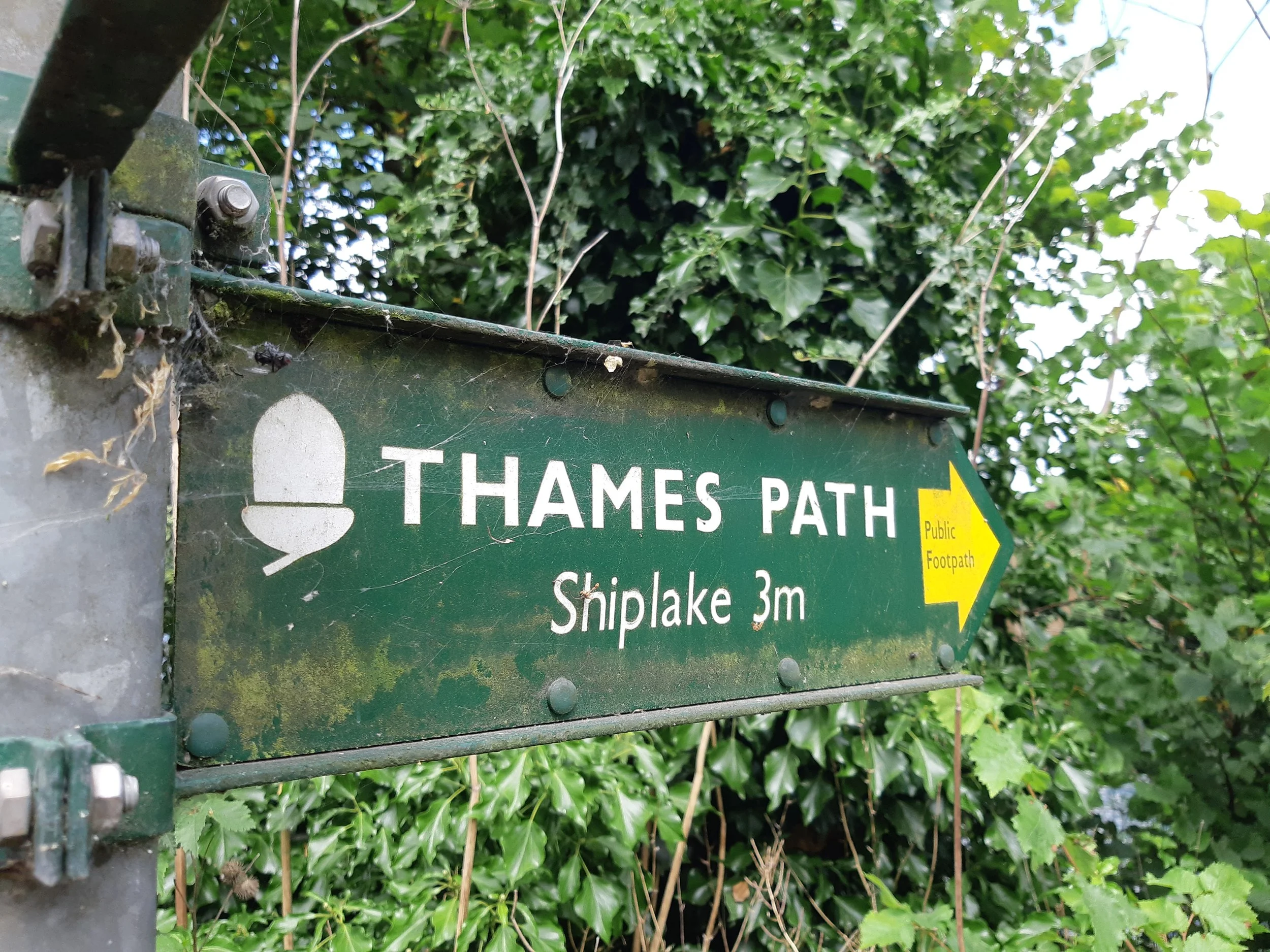 Thames Path 30th Anniversary Relay