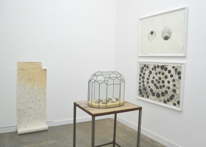 Drawing into Sculpture | May 2014 | Griffin Gallery
