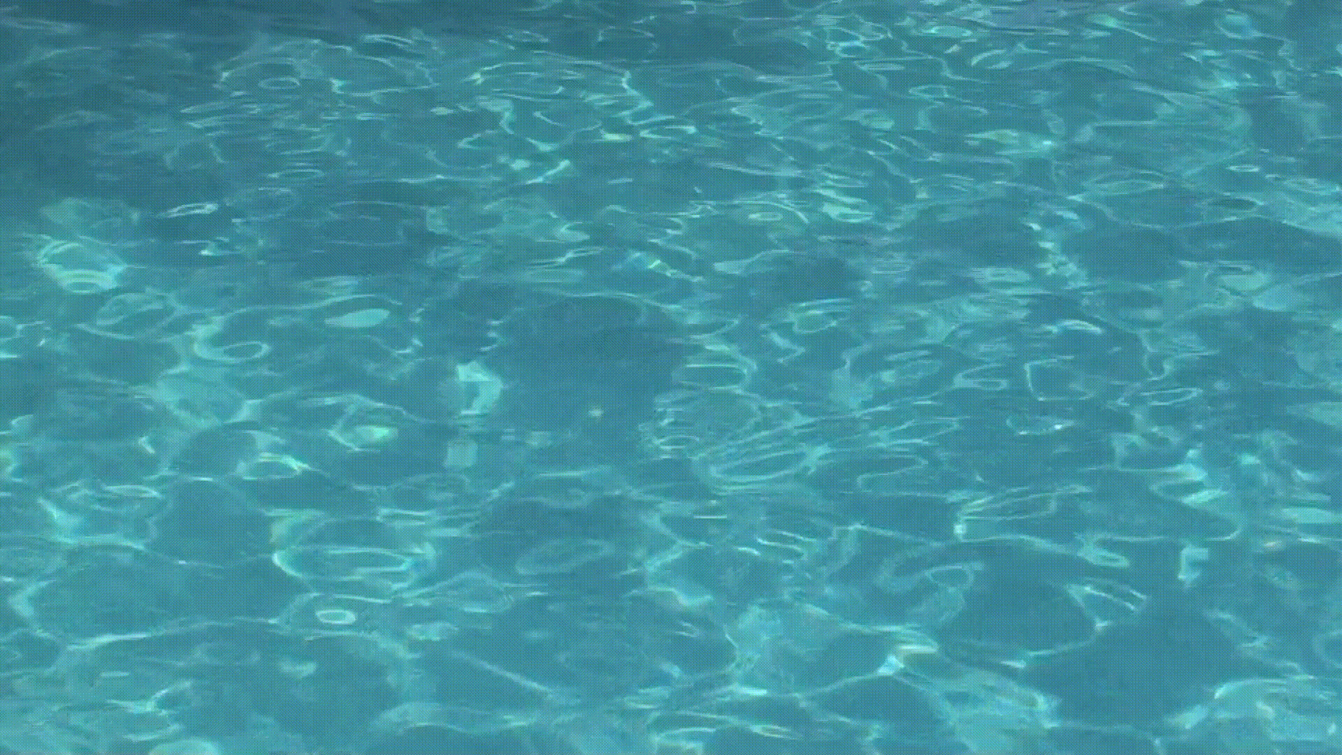 Pool_water.gif