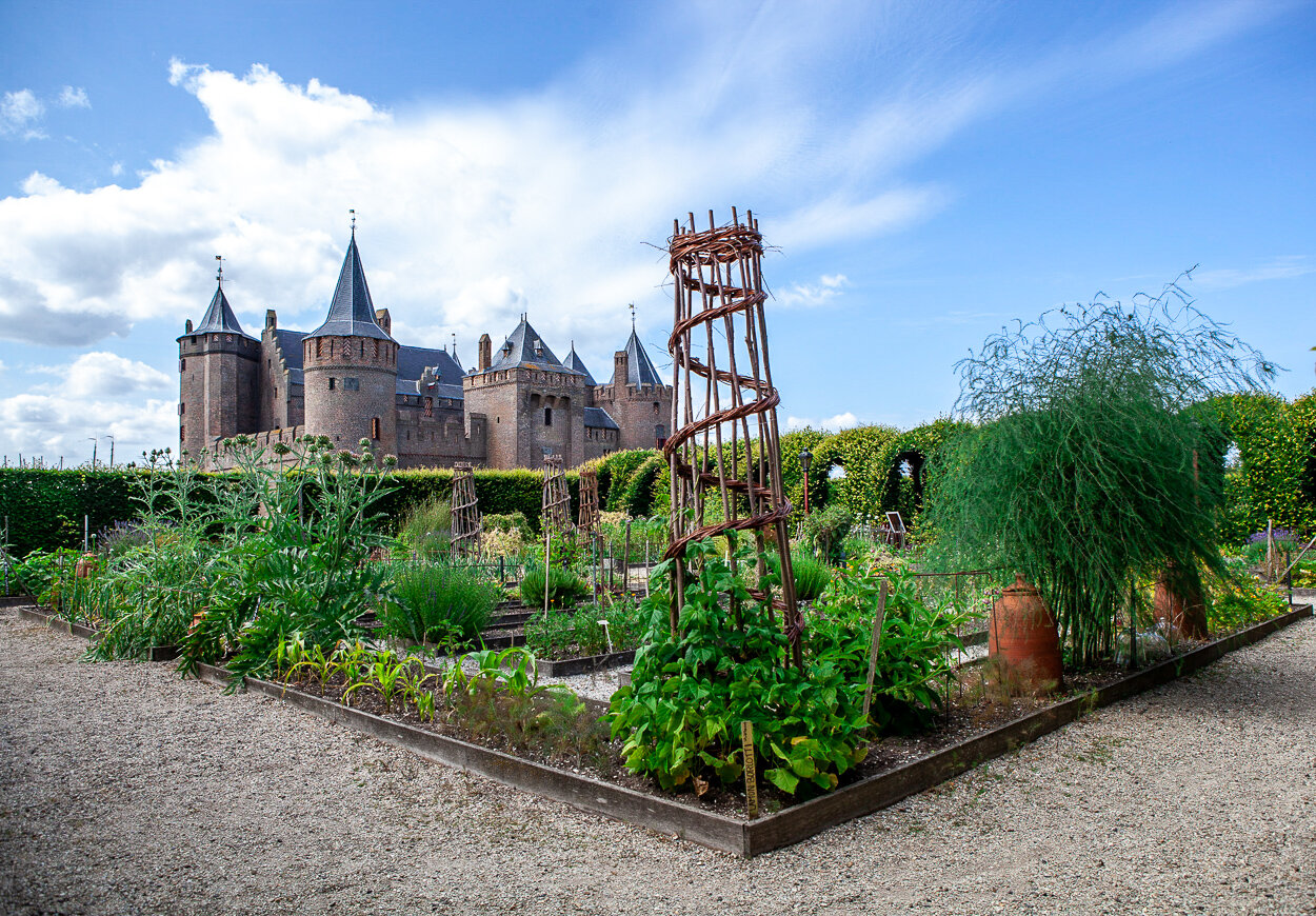 Muiderslot gezien vanuit de tuinen - zomer 2019 - foto Maartje Scheers.jpg