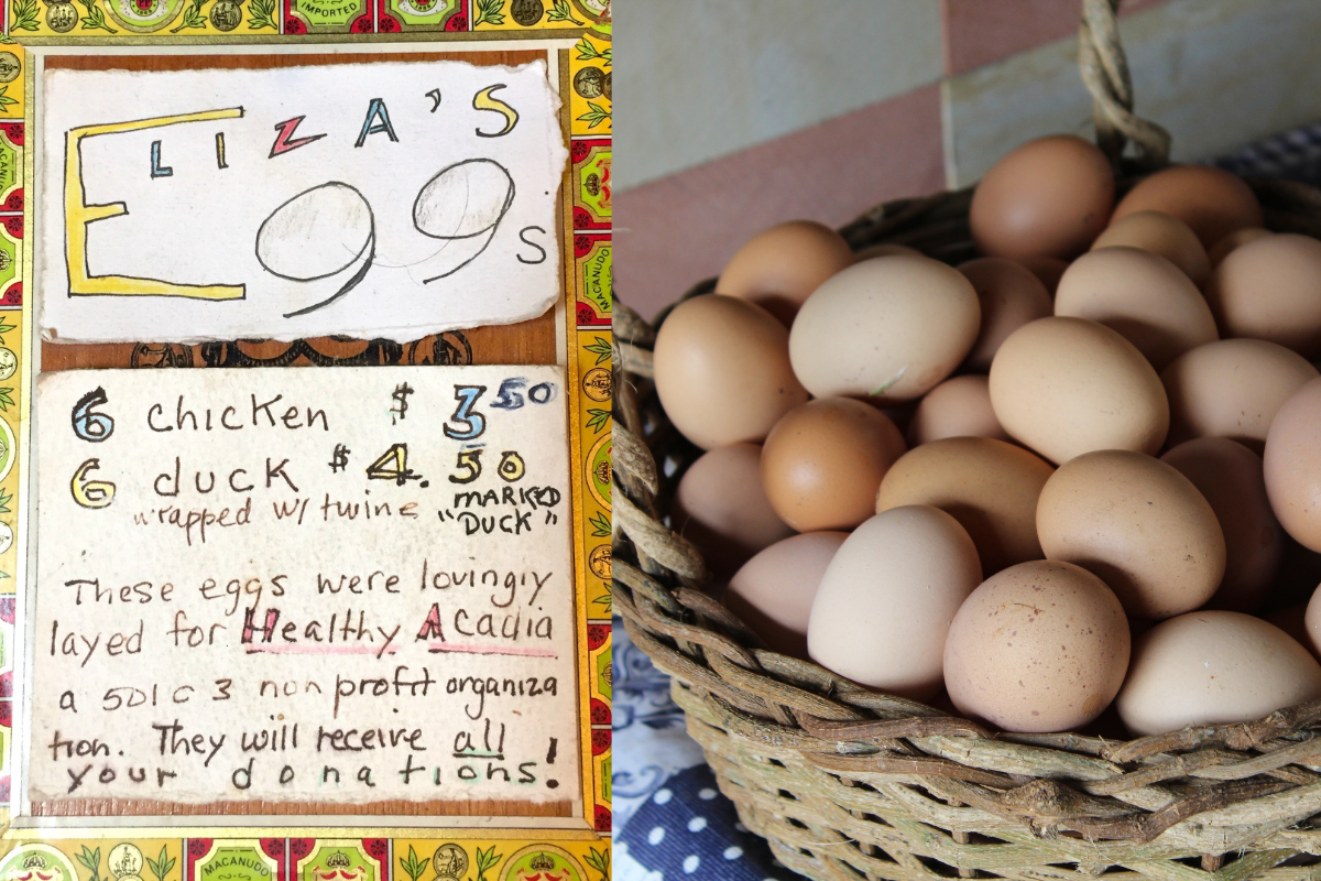  duck eggs in a basket with hand written note that eggs are for sale with proceeds to benefit Healthy Acadia 