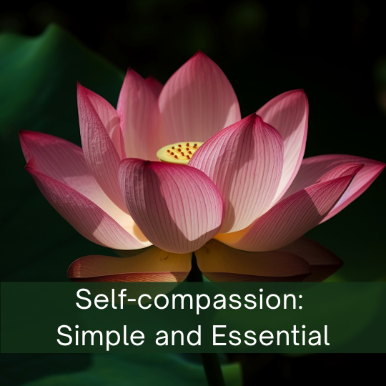 Healthy Acadia Invites Community to Explore Self-Compassion in Free Online Session